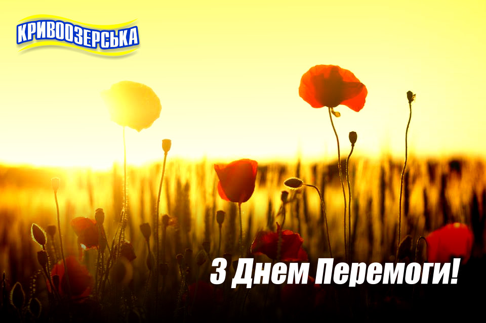 Прев'ю картинка для новини - Кривоозерська вітає з Днем Перемоги!